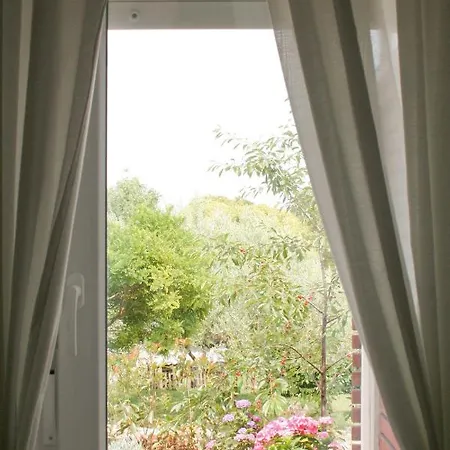 Pretty Little Thing Called Teranino * Пула