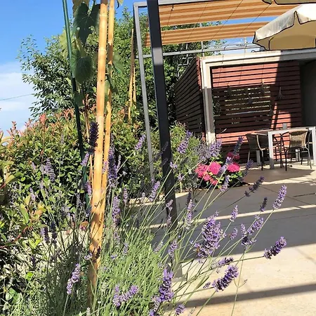 Pretty Little Thing Called Teranino Lejlighed Pula