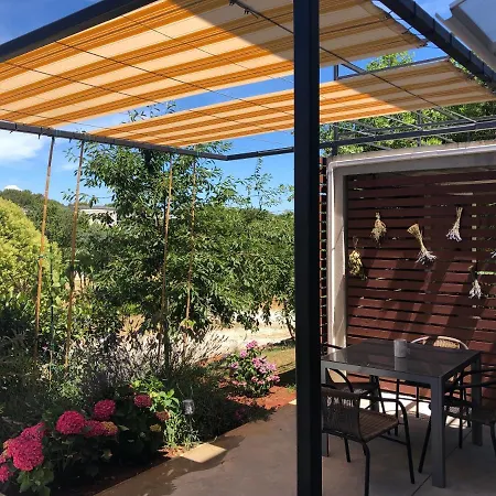 Pretty Little Thing Called Teranino *