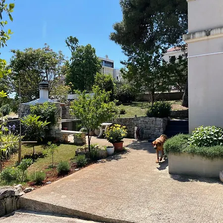 아파트 Pretty Little Thing Called Teranino *