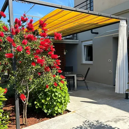 Pretty Little Thing Called Teranino