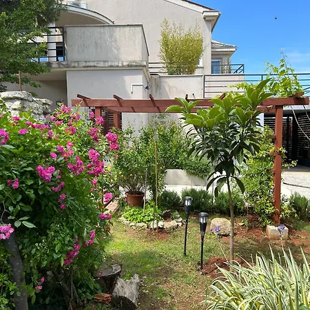 Pretty Little Thing Called Teranino *