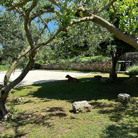 Pretty Little Thing Called Teranino *