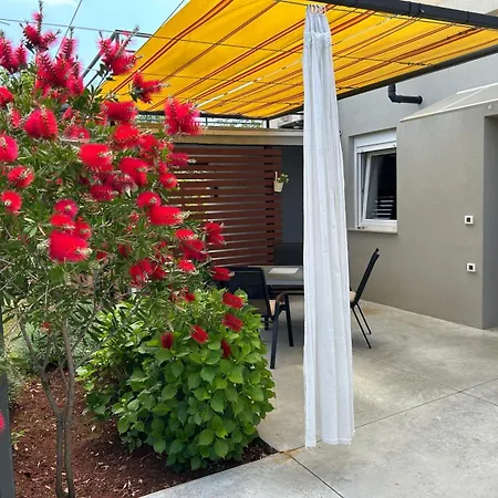 Pretty Little Thing Called Teranino *