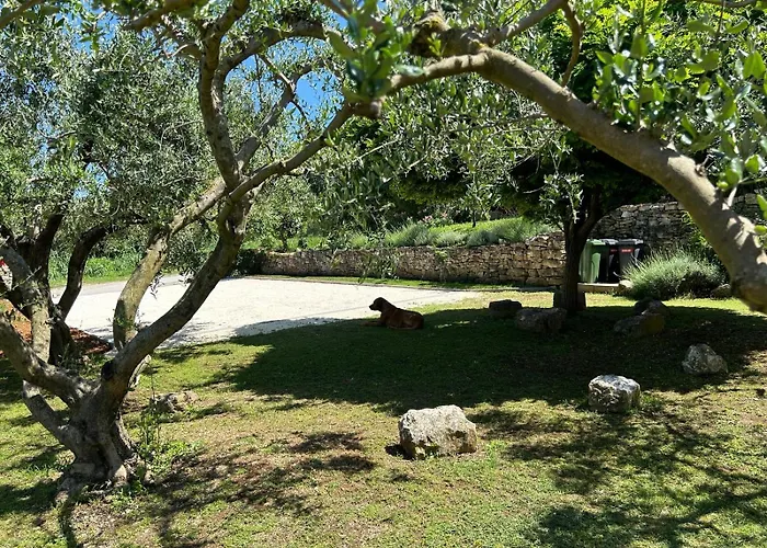 Pretty Little Thing Called Teranino *