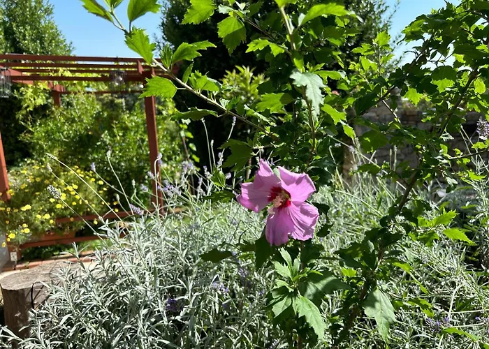 Pretty Little Thing Called Teranino