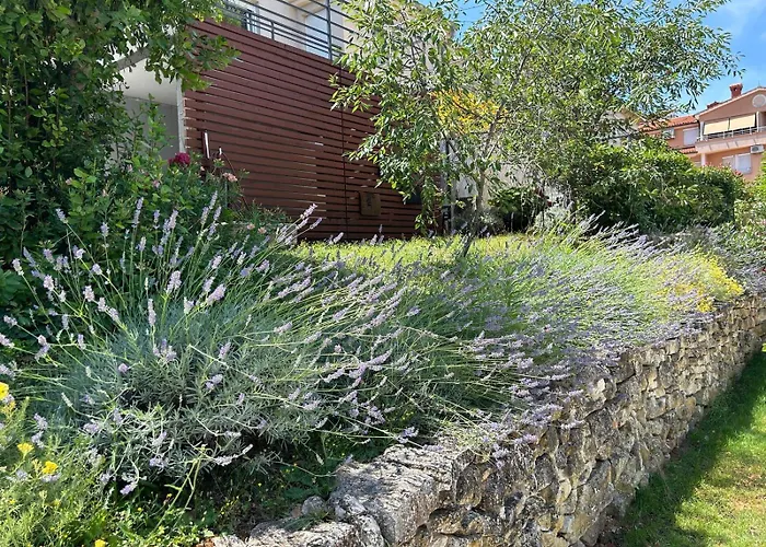 Pretty Little Thing Called Teranino Apartment