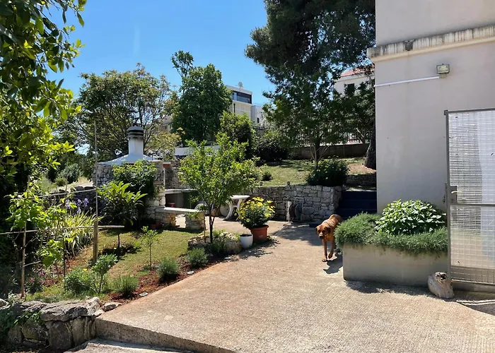 Daire Pretty Little Thing Called Teranino *